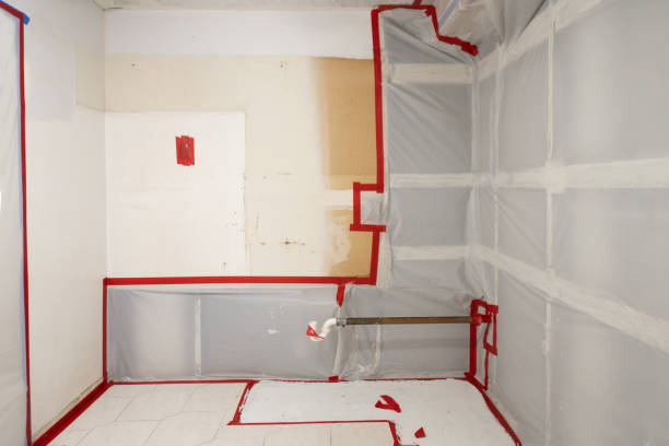 Best Asbestos and Lead Testing During Mold Inspection  in Santa Clara, UT