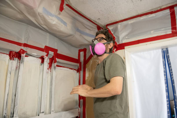 Best Black Mold Removal  in Santa Clara, UT
