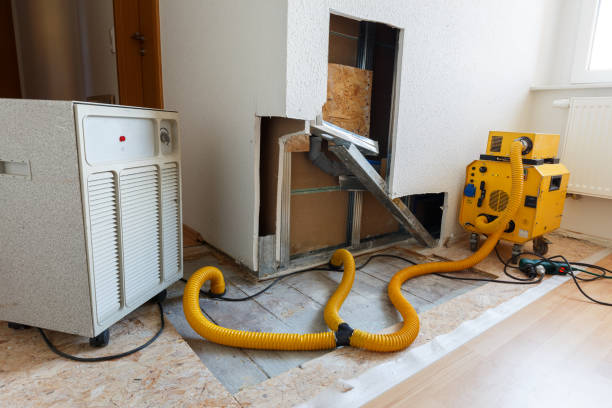 Best Forensic Mold Investigation  in Santa Clara, UT