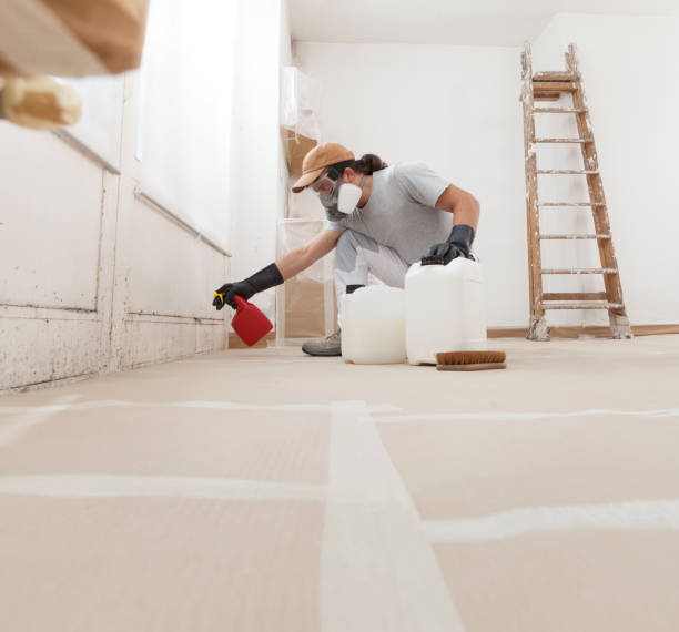 Best Emergency Mold Remediation  in Santa Clara, UT