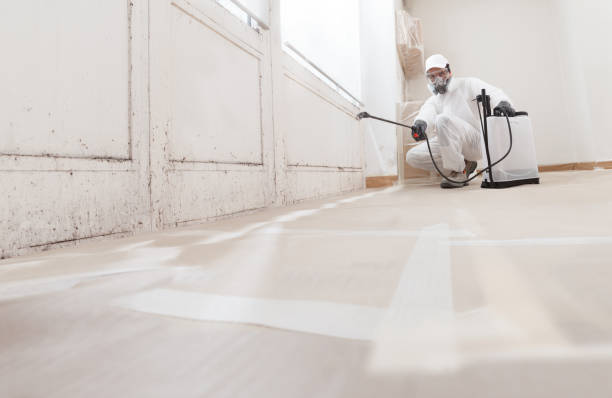 Professional Mold Removal in Santa Clara, UT