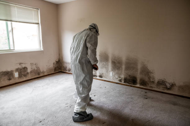 Best Biohazard Mold Removal  in Santa Clara, UT